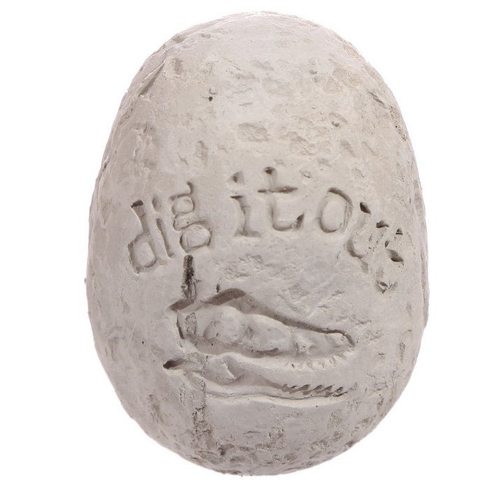 acbde796-3ac7-4007-b4be-285a3b01f9cf_700x700_fill Baby Dinosaur in Egg Dig it Out Kit - Sortiert
