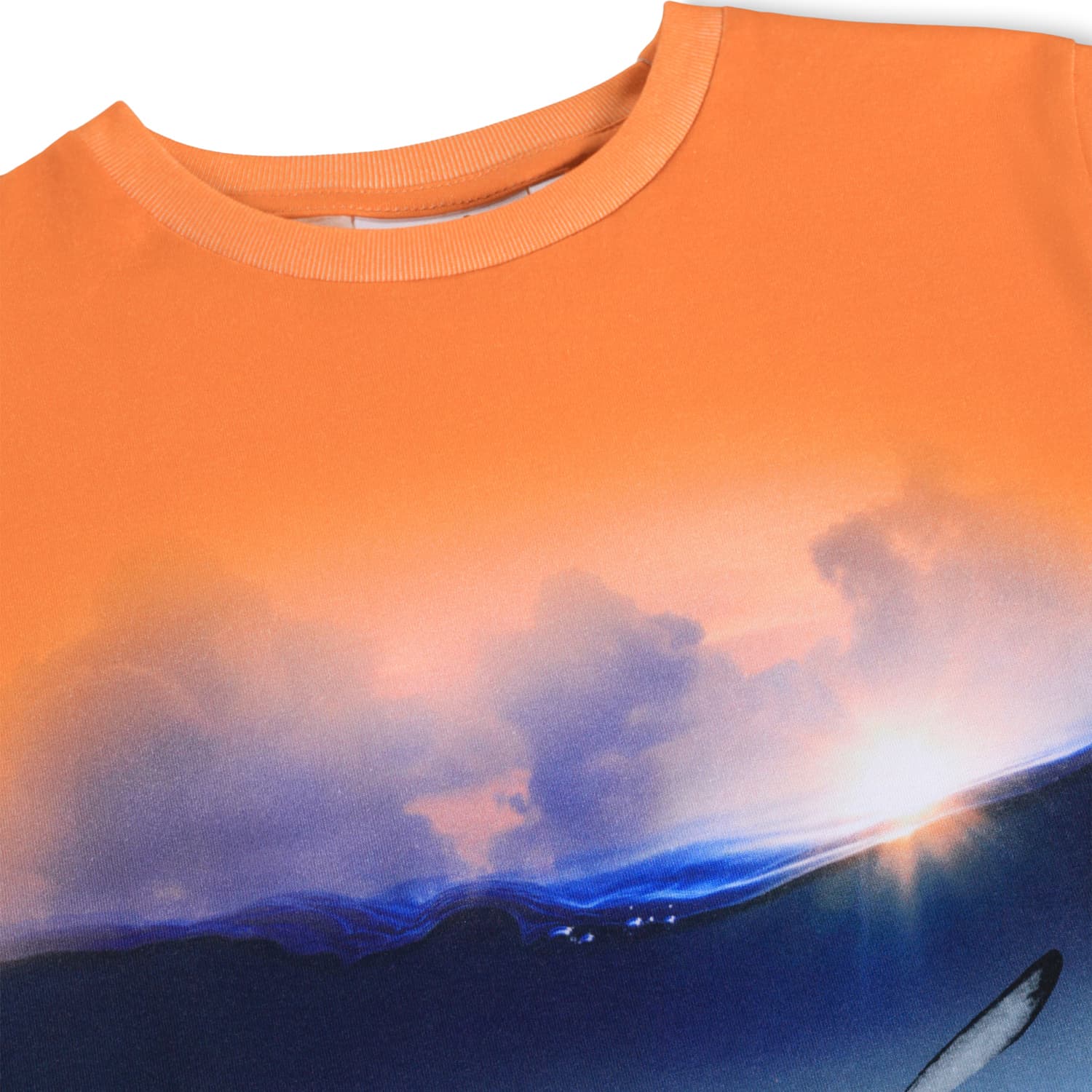 Molo Raul Kurzarm T-Shirt Into the Sunset - Rochen
