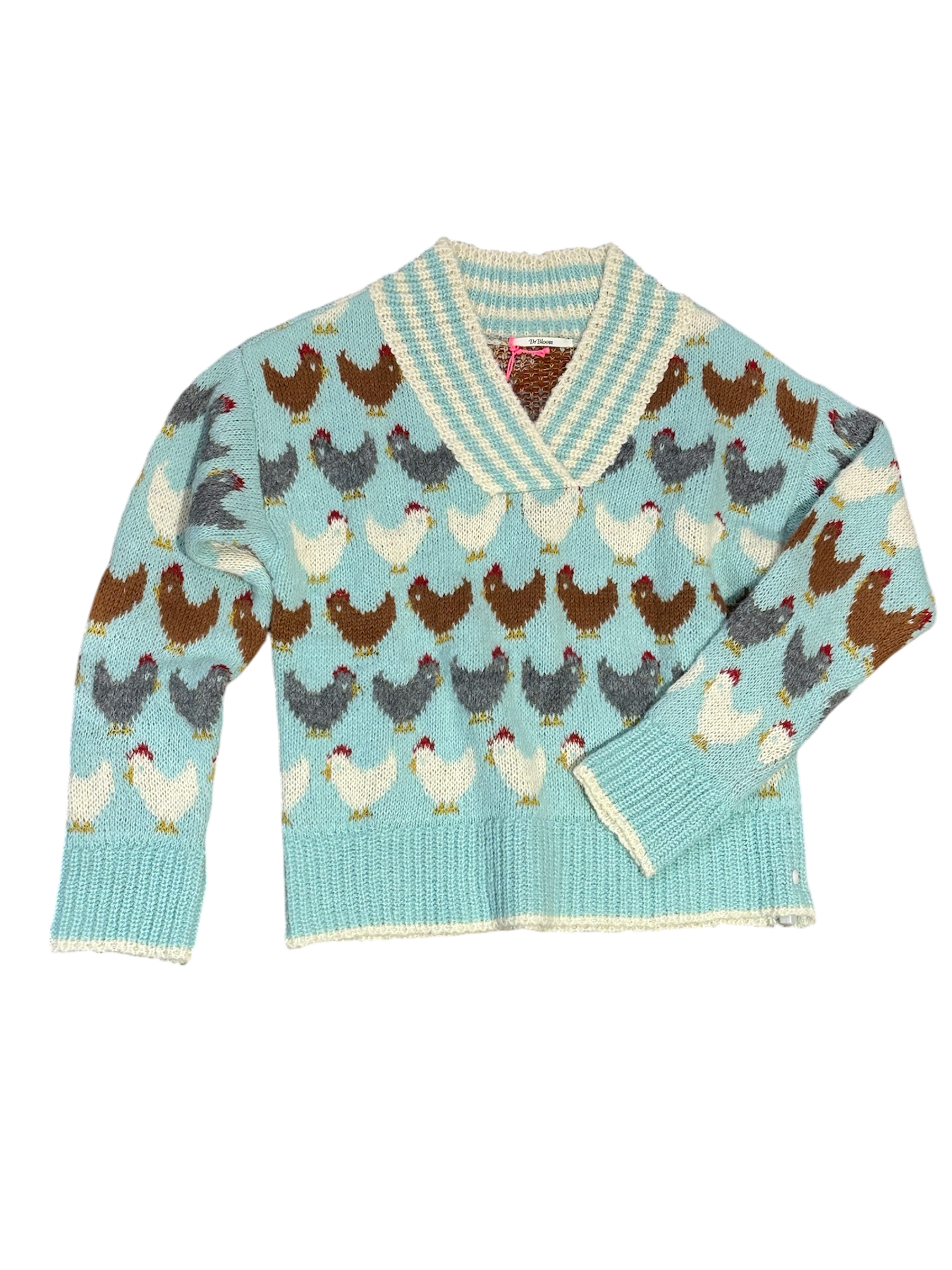 Dr Bloom Pullover - Strickpulli mit V-Ausschnitt in in Himmelblau- Hühner