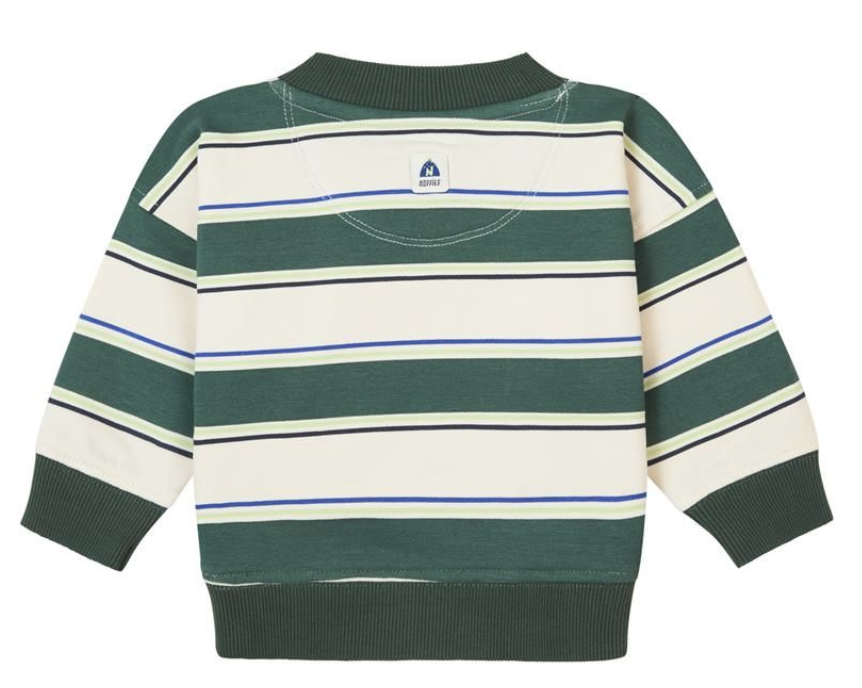 Noppies Baby Jungs Pullover Graveson in Grün/Weiß gesreift