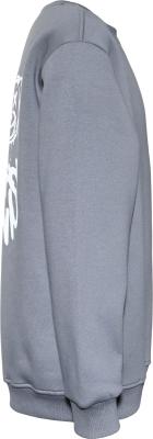 Blue Effect Jungs Sweatshirt in Steingrau Reactive mit Backprint