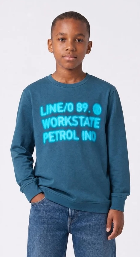 Petrol Industries Jungs Graphic Print Pullover Millbrook in Blau