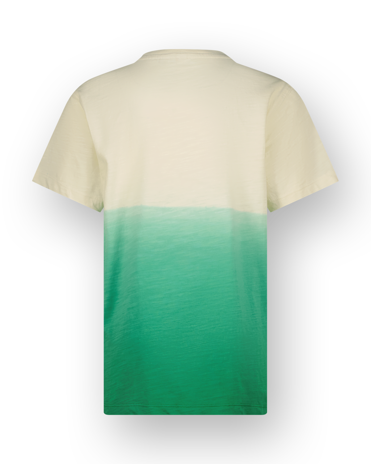 Vingino Hilo T-Shirt in Cactus Green - Farbverlauf Vingino Hilo T-Shirt in Cactus Green - Farbverlauf