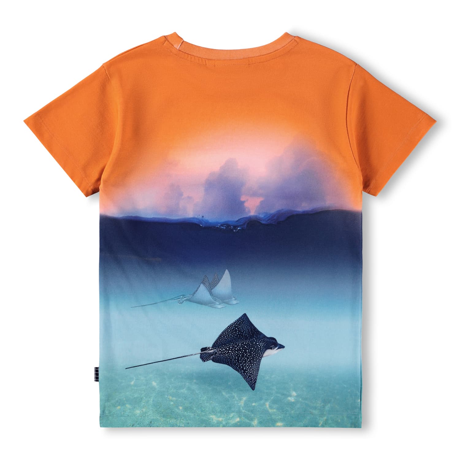 Molo Raul Kurzarm T-Shirt Into the Sunset - Rochen Molo Raul Kurzarm T-Shirt Into the Sunset - Rochen