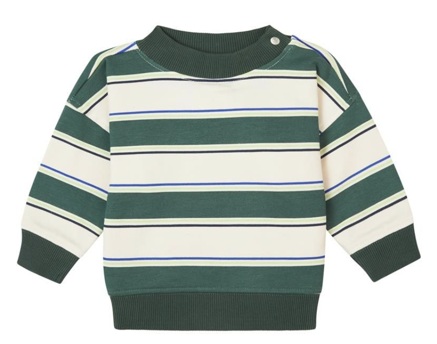 Noppies Baby Jungs Pullover Graveson in Grün/Weiß gesreift