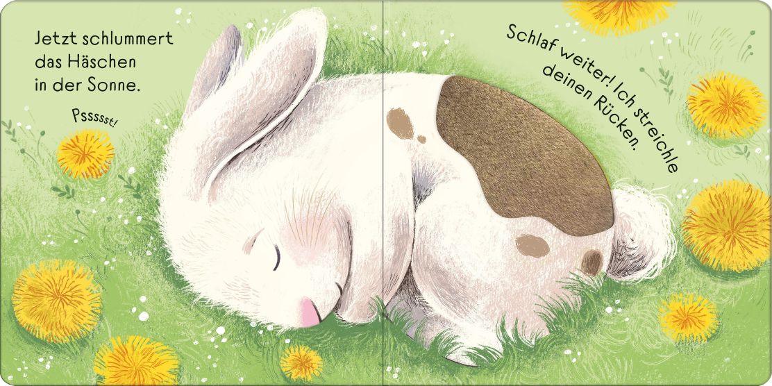 Usborne Streichle das kleine Häschen