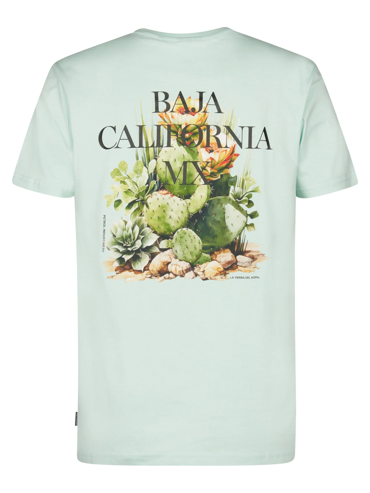 Petrol Industries Heren T-Shirt in Mint - Baja California