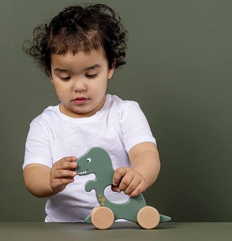 JaBaDaBaDo Holzspielzeug - Schiebespielzeug Dino JaBaDaBaDo Holzspielzeug - Schiebespielzeug Dino