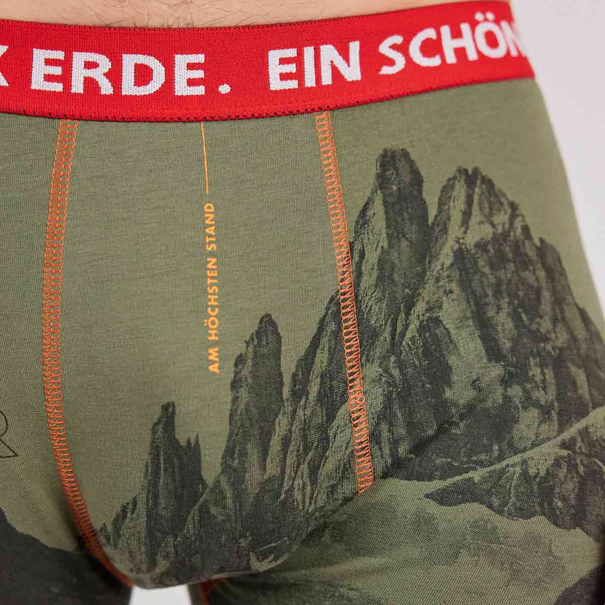 12er-weide-4 ESFE Alpine Bio-Wäsche Herren Boxer in Khaki - 12er Weide