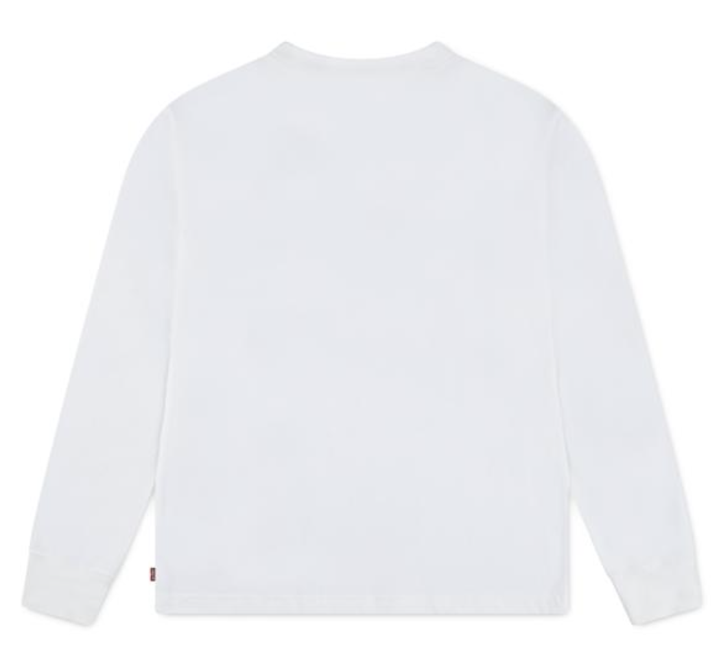 Levi's Jungs Canyon Longsleeve mit Print in Levi's Egret