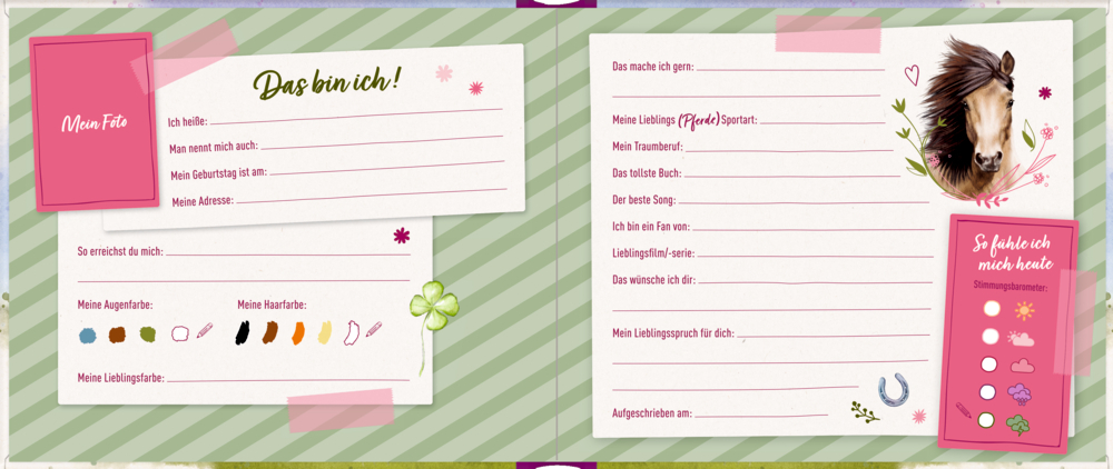 Spiegelburg Freundebuch: Meine Freundinnen u. Freunde - Pferde Spiegelburg Freundebuch: Meine Freundinnen u. Freunde - Pferde