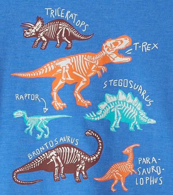 Hatley Dino Knochen Langarm Shirt in Blau - SALE