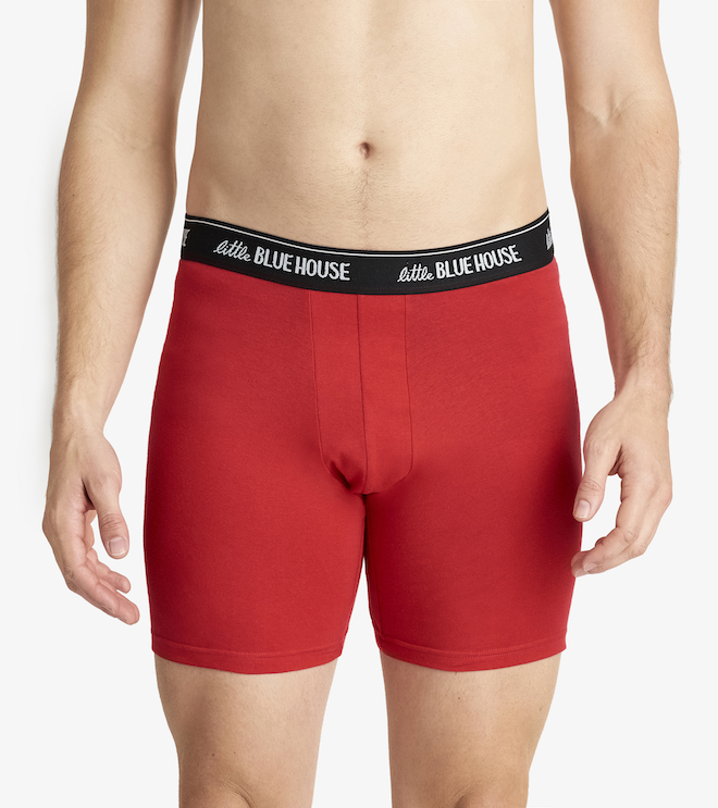 BXCBULL001_A Little Blue House Boxer Short Unterhose - Mess with the Bull, You get the Horns