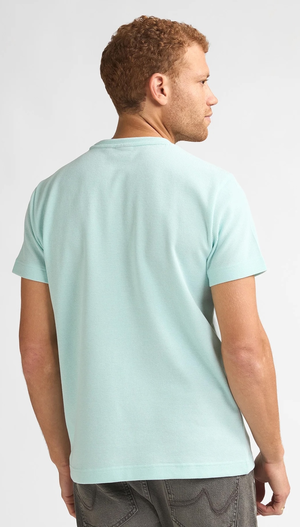 Petrol Industries Herren T-Shirt Pedregal in Mint Petrol Industries Herren T-Shirt Pedregal in Mint