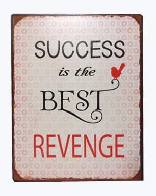 em4338 Lafinesse Metal Schild - Success is the Best Revenge