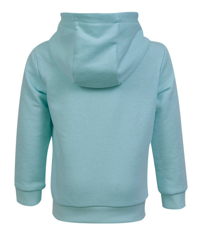 olKIyG0J Mini Rebels Idan Hoody in Hellblau - Surf Club