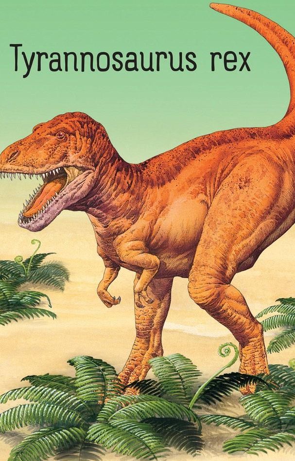 Usborne Schnapp und Weg! Das superschnelle Kartenspiel Dinosaurier