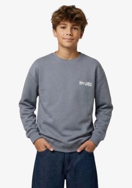 Blue Effect Jungs Sweatshirt in Steingrau Reactive mit Backprint