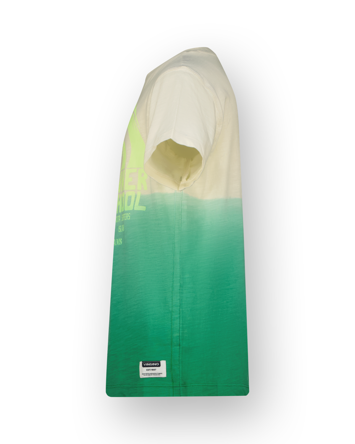 Vingino Hilo T-Shirt in Cactus Green - Farbverlauf