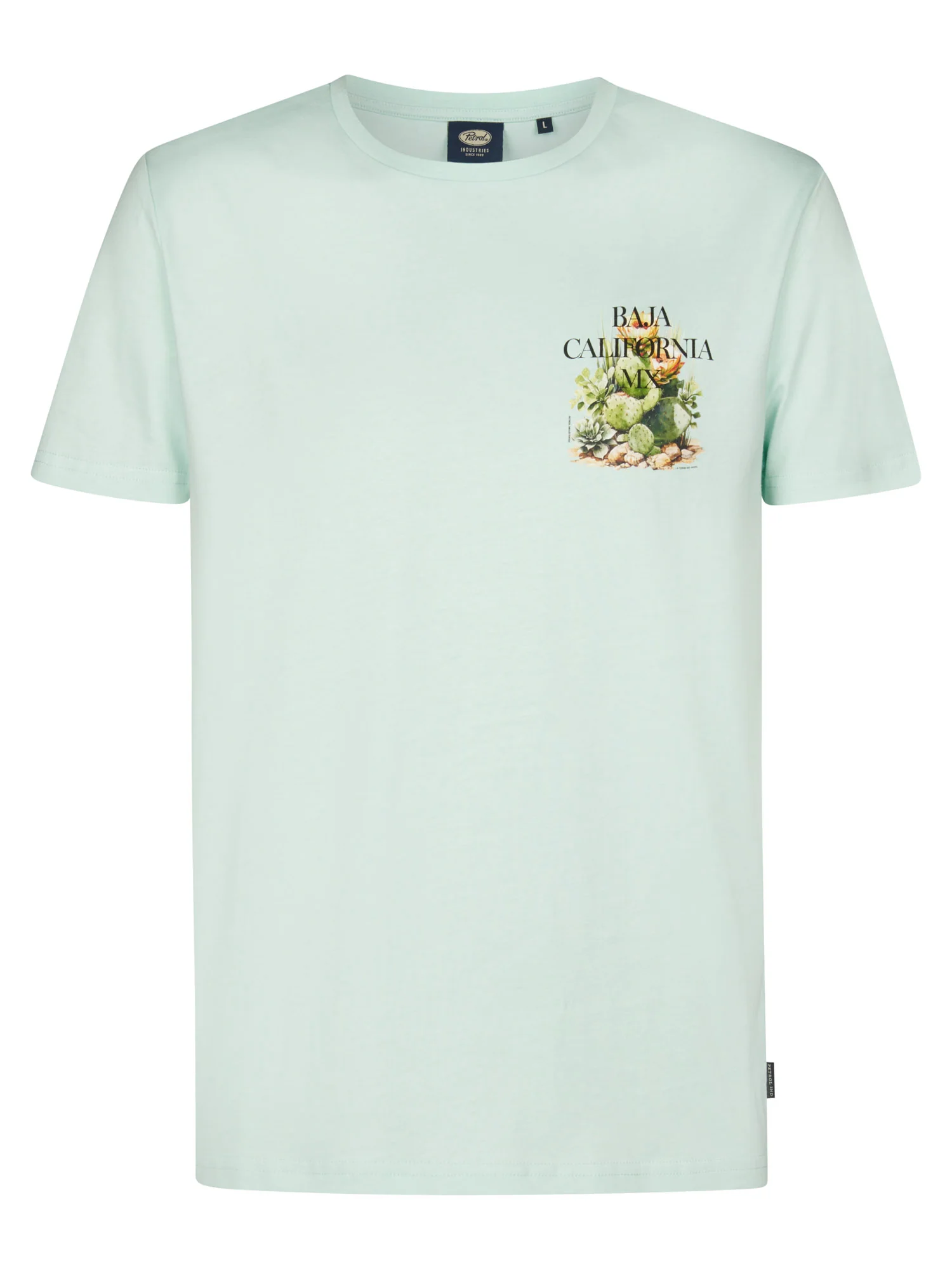 Petrol Industries Heren T-Shirt in Mint - Baja California