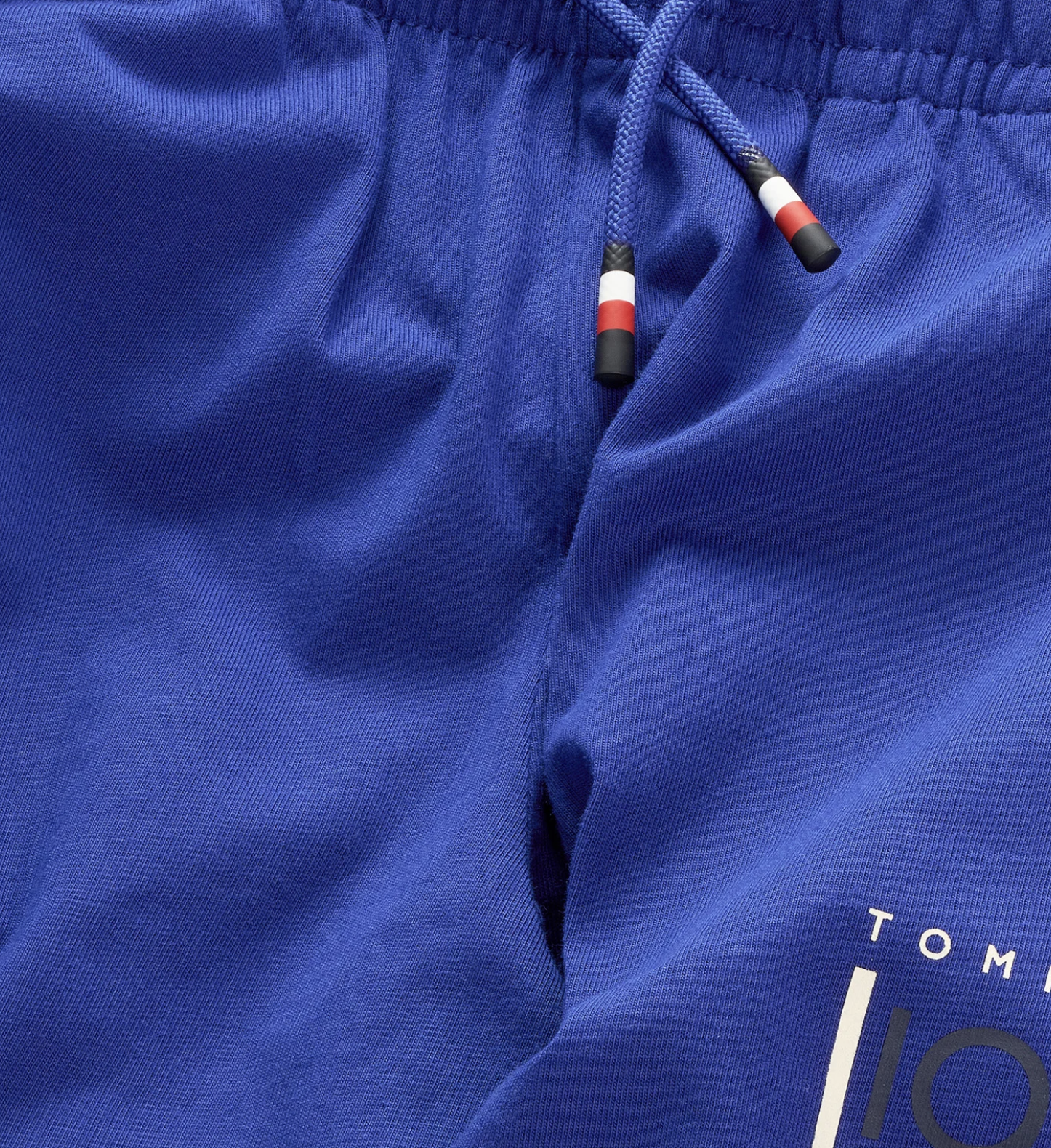 Tommy Hilfiger Jungs Sweatshort in Blau