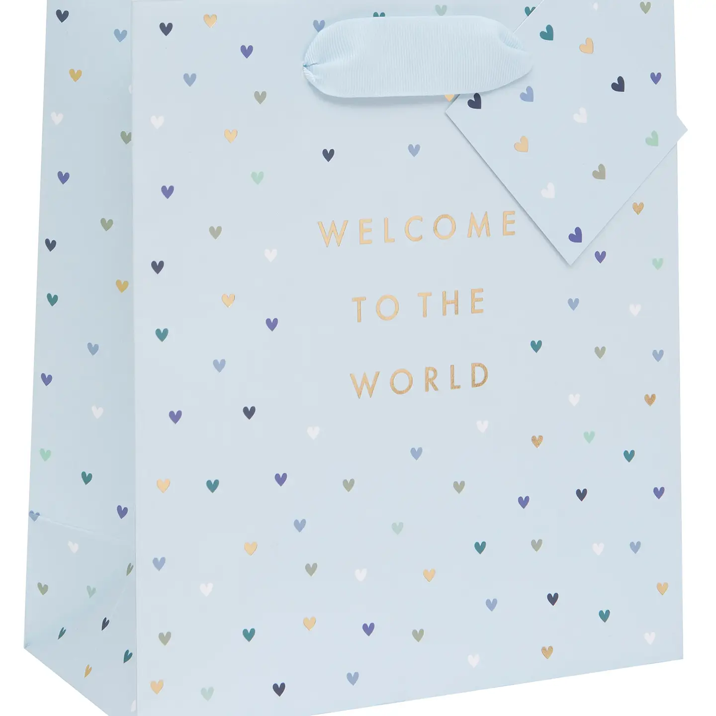 Glick Geschenktasche zur Geburt in Blau - Medium - Welcome to the World 