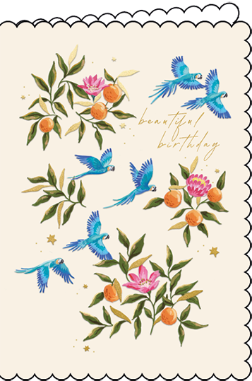 Edition Gollong Grußkarte zum Geburtstag mit Vogel und Orangen - Beautiful Birthday Edition Gollong Grußkarte zum Geburtstag mit Vogel und Orangen - Beautiful Birthday