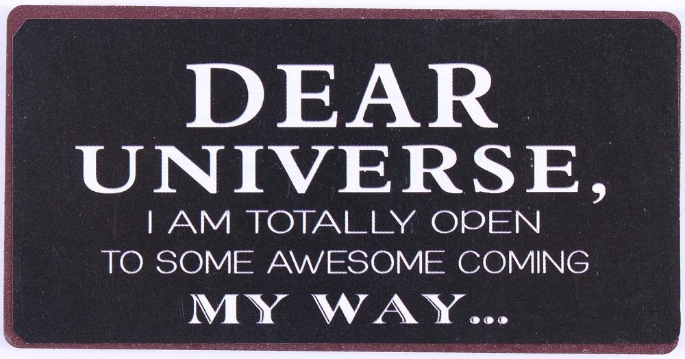 em5764-p Lafinesse Magnet - Dear Universe - Open to Awesome