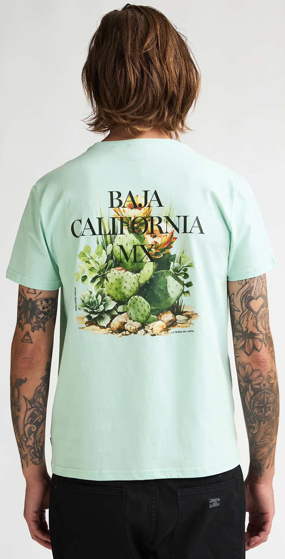 Petrol Industries Heren T-Shirt in Mint - Baja California