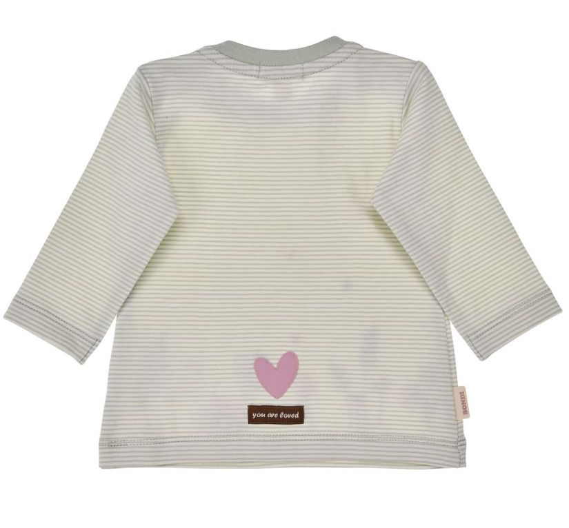 Bondi Langarm Shirt Limetten Grün Geringelt mit Süßem Schwann Bondi Langarm Shirt Limetten Grün Geringelt mit Süßem Schwann
