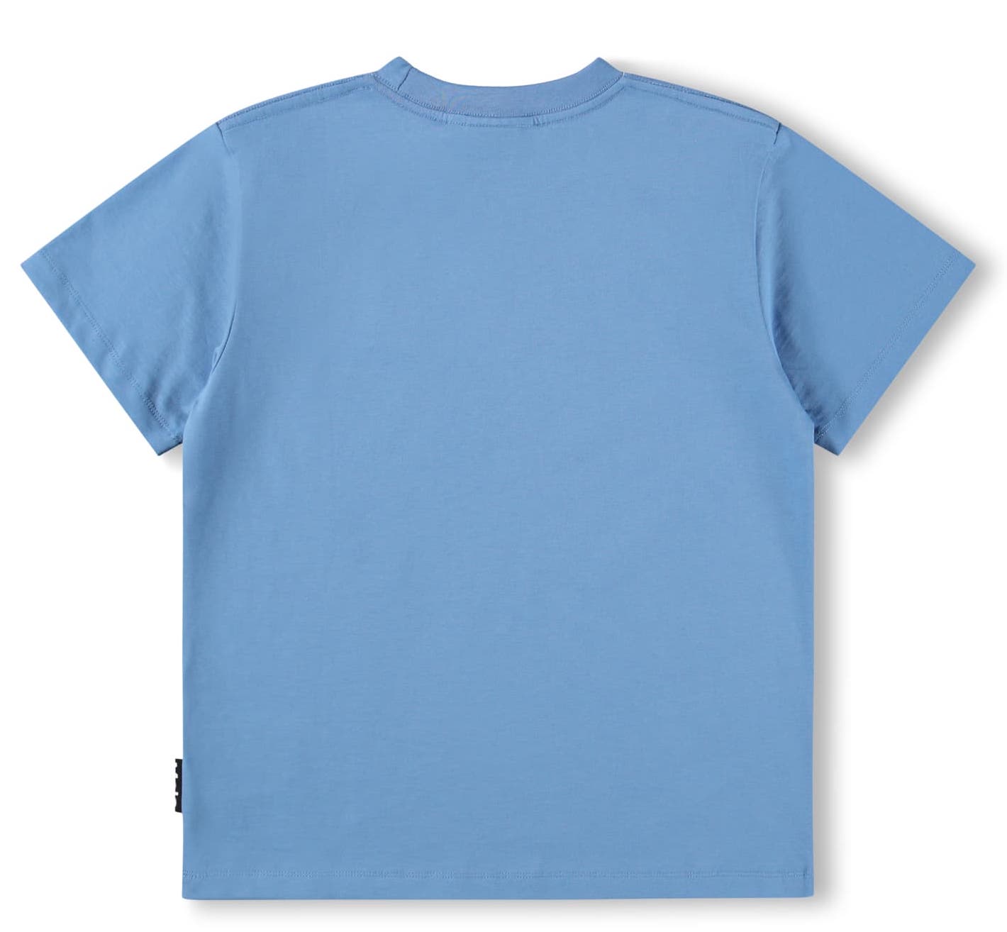Molo Riley Kurzarm T-Shirt in Blau mit Hund - Surf Dog