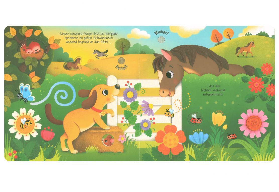 Usborne Klänge der Natur - Was hörst du bei den Haustieren?