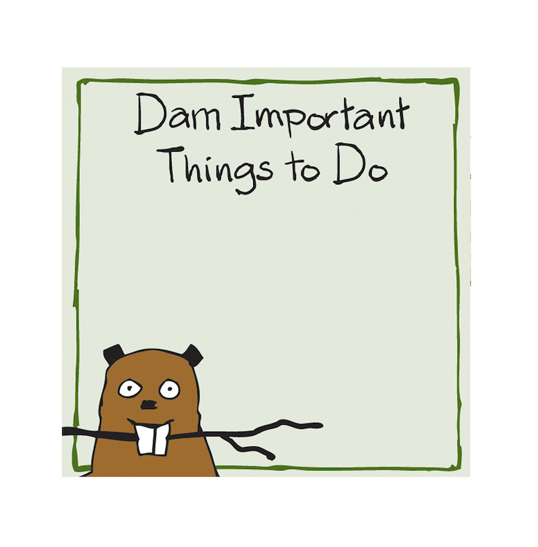 PT0WIBV015 Little Blue House Klebezettel - Bieber - Dam Important Things To Do Sticky Notes