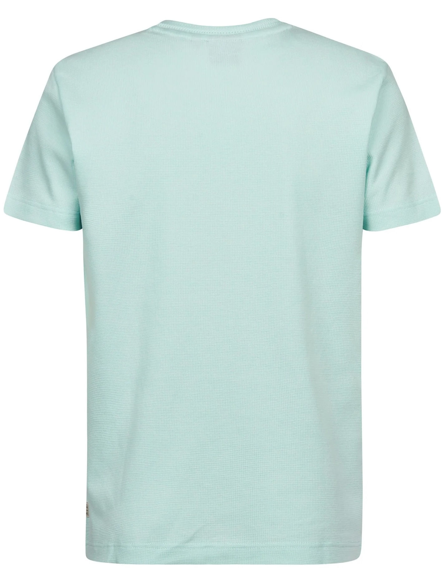 Petrol Industries Herren T-Shirt Pedregal in Mint
