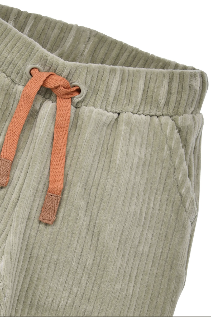 Bondi Baby Cord Jogpant in Salbei Grün mit Kordel