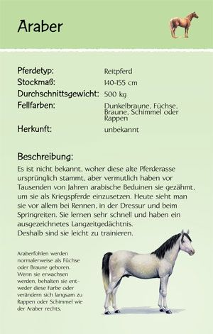 Usborne 50 Karten - Erkennen und Benennen - Pferde und Ponys