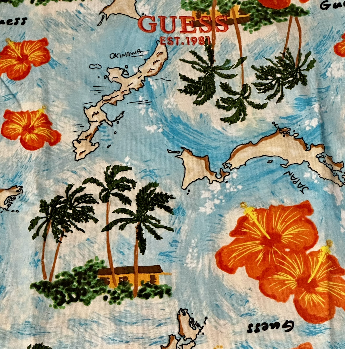 Guess Boys T-Shirt – Allover Landschaft & Hibiskusblüten