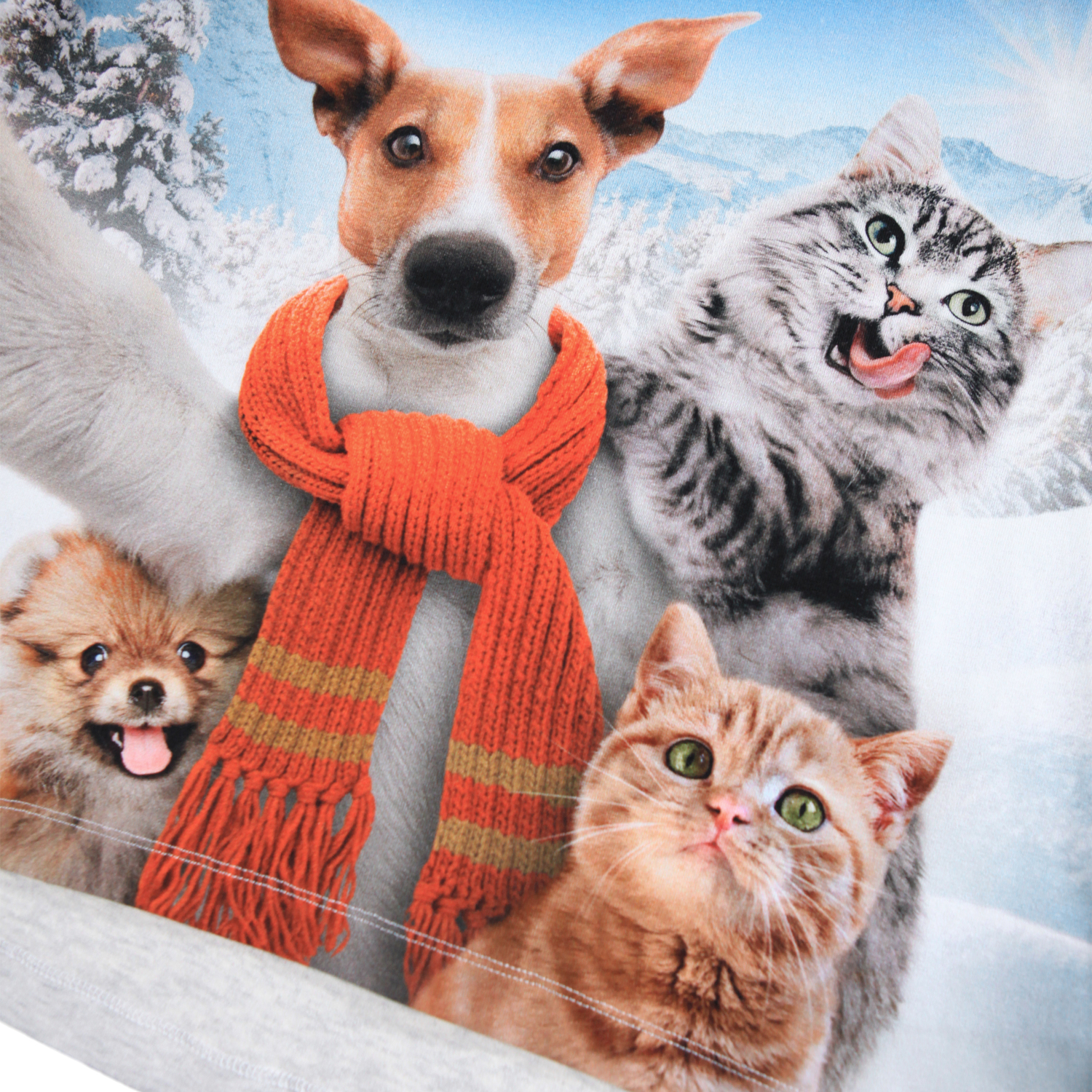 Molo Reniza Bio-Baumwolle Langarm Shirt in Grau Melange - Skifahrer Hund & Katze - SALE