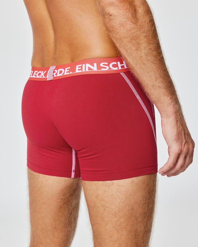 ESFE Alpine Bio-Wäsche Herren Boxer in Kaminrot Rot - HOT AS HELL ESFE Alpine Bio-Wäsche Herren Boxer in Kaminrot Rot - HOT AS HELL