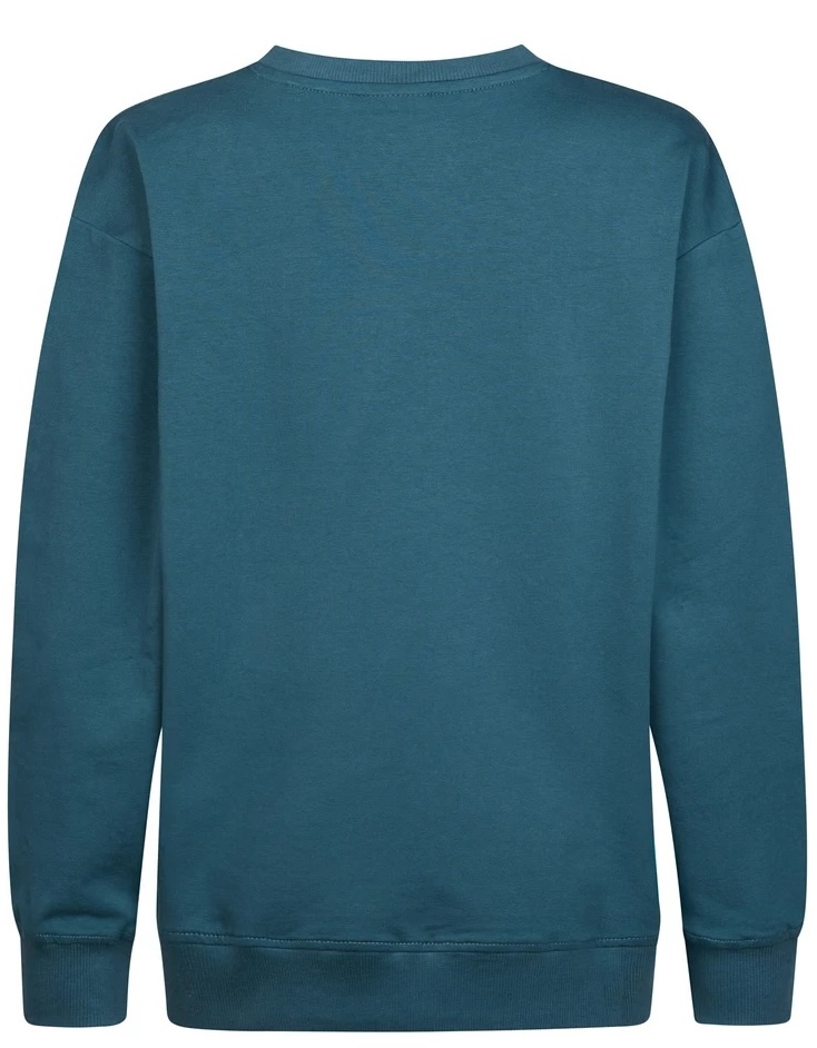 Petrol Industries Jungs Graphic Print Pullover Millbrook in Blau