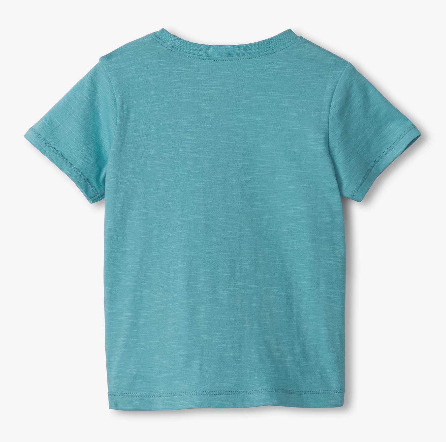 Hatley Kurzarm T-Shirt in Blau - Bagger - SALE
