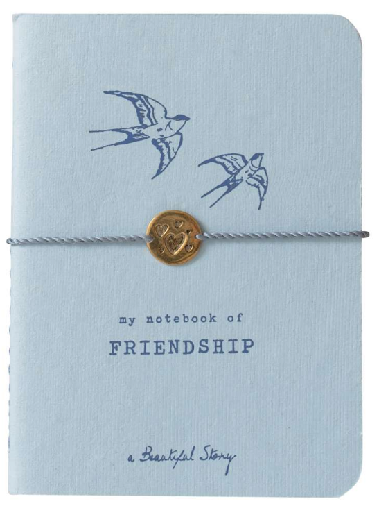 A Beautiful Story Storybook - Friendship in Hellblau - SALE