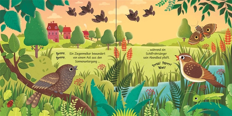 Usborne Klänge der Natur: Was hörst du in der Vogelwelt?