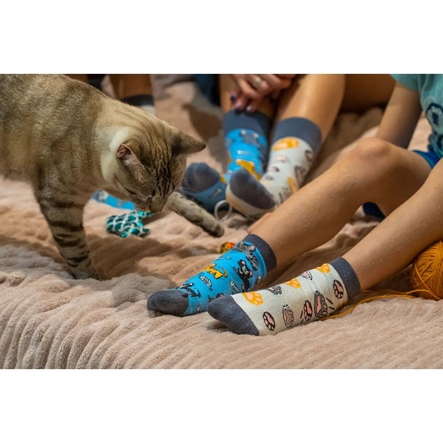 Spox Sox Kindersocken - Katzen - Mietzekatzen - Cats - SALE Spox Sox Kindersocken - Katzen - Mietzekatzen - Cats - SALE