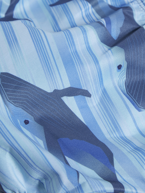 Color Kids Schwimmwindel in Blau - Wale