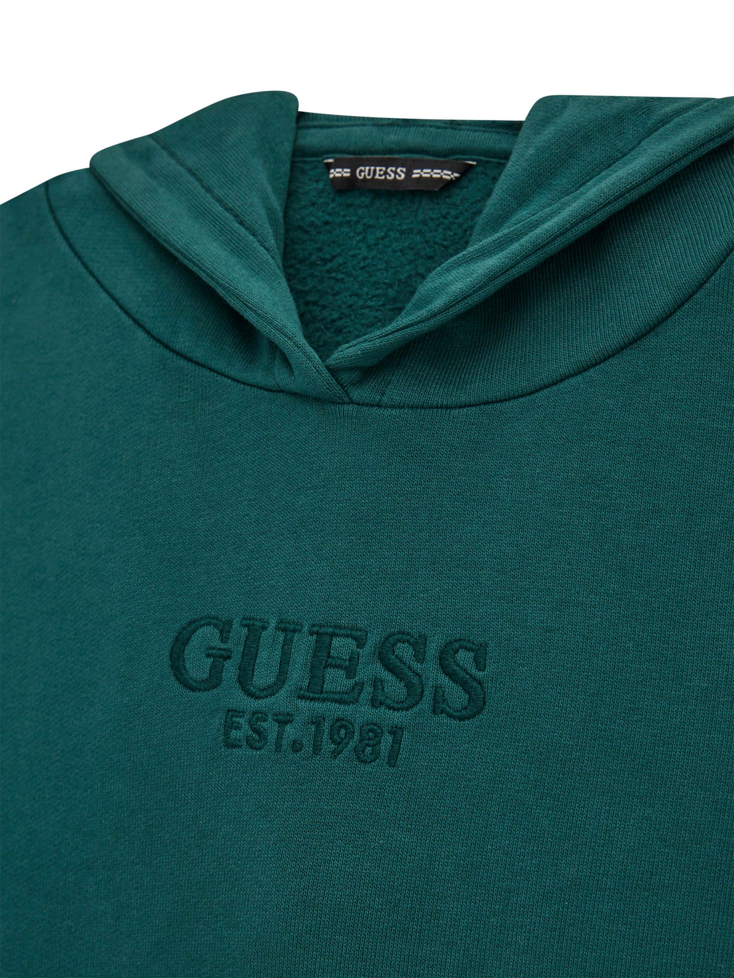 Guess Hoody Sweatshirt in Forest Green - Grün Guess Hoody Sweatshirt in Forest Green - Grün
