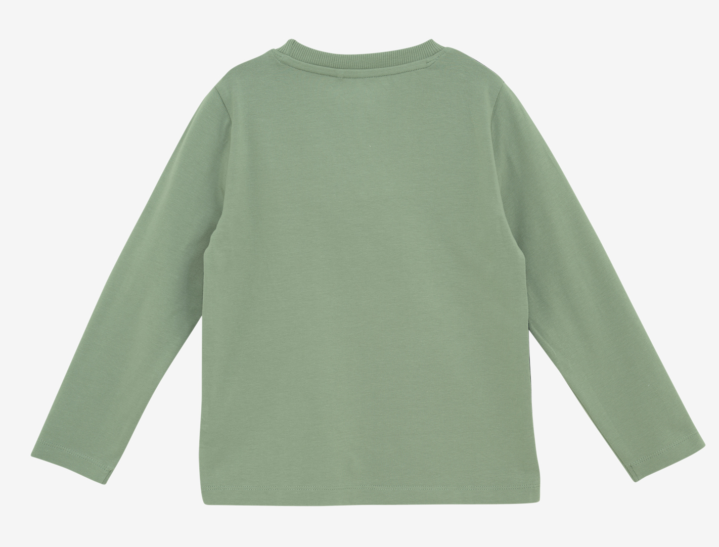 Minymo Langarm T-Shirt in Lily Pad Grün - Dinosaurier