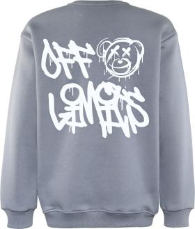 Blue Effect Jungs Sweatshirt in Steingrau Reactive mit Backprint
