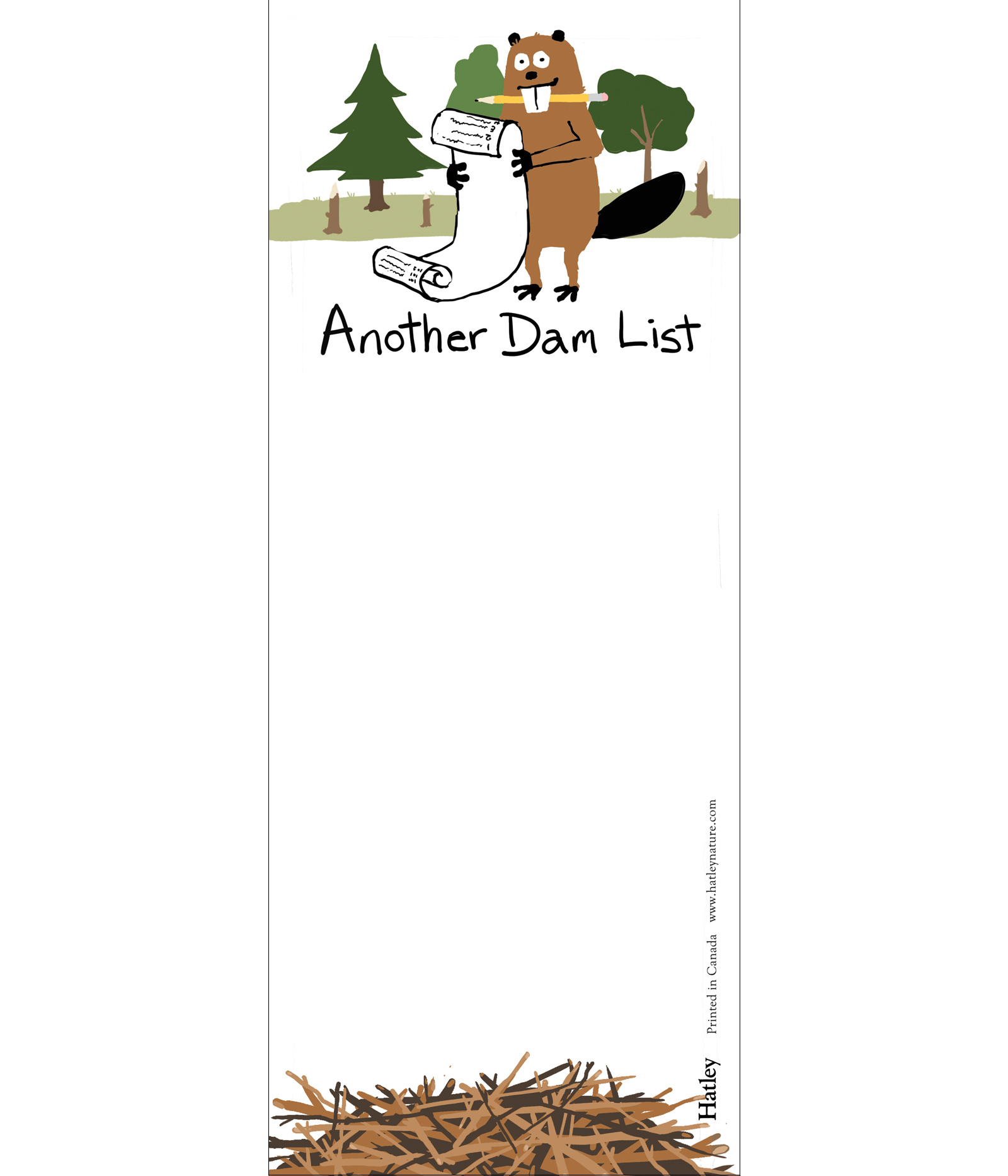 Little Blue House Magnetliste - Another Dam List - Magnetische Liste - Bieber