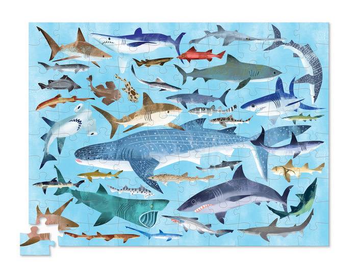 crocodile-creek-36-sharks-puzzle-100-pcs Crocodile Creek Puzzle - Sharks - 36 Haifische - 100 Teile
